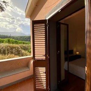 Tenuta Kiwi Dell'etna Casa vacanze